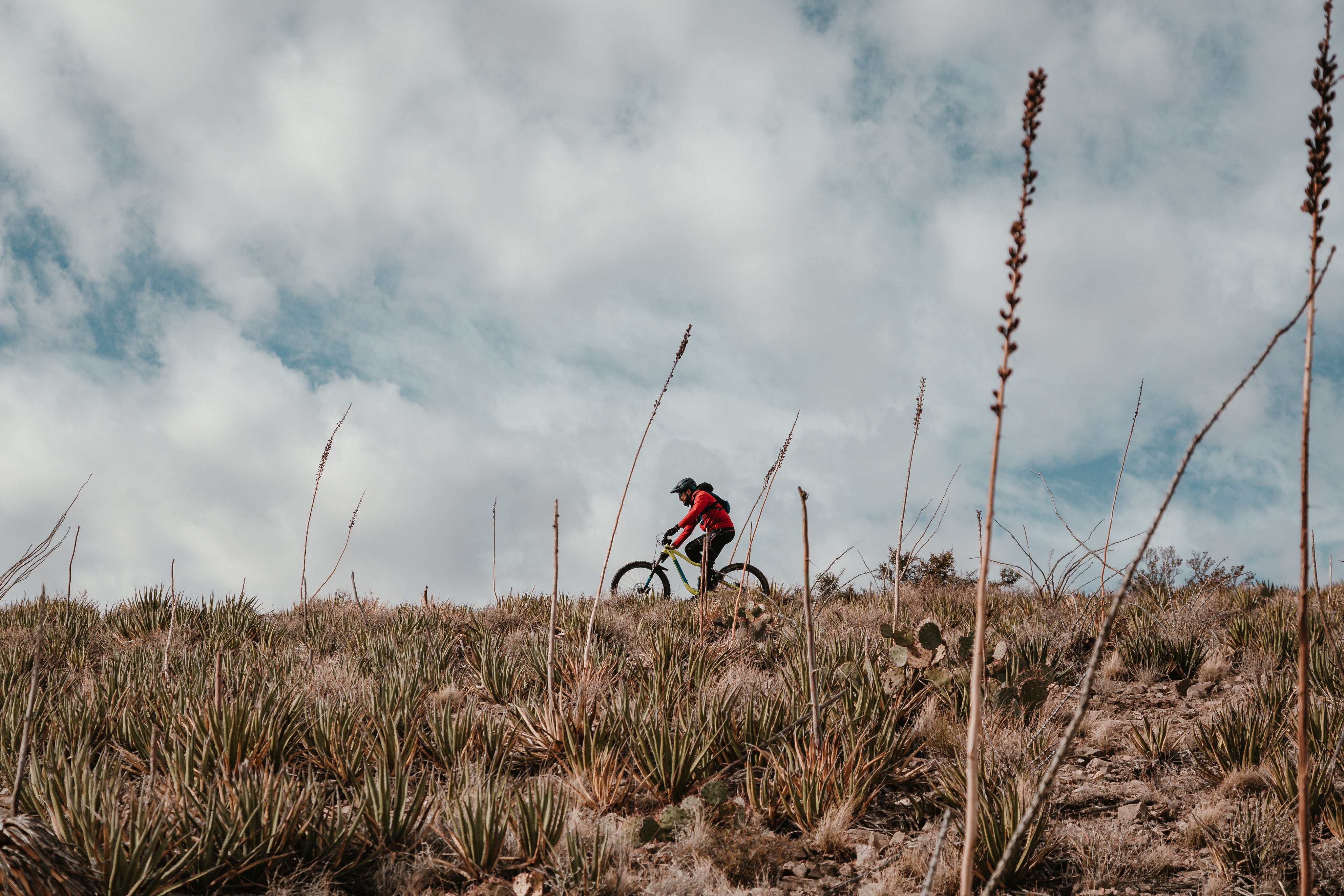 mountain biker wearing a red hoodie and jeans, riding on a hillside with scenic view