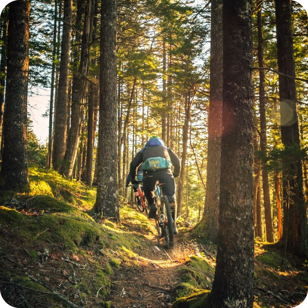 man riding a bicycle in the forest